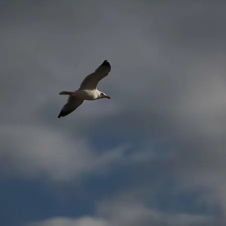 Konukevi Fiera Ermoupoli