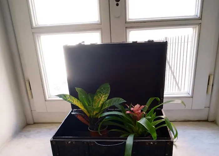 Fiera 3* 埃尔莫波利斯