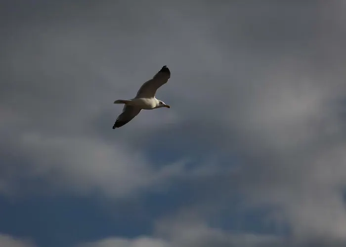 招待所 Fiera 埃尔莫波利斯